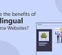 Multilingual e-commerce: how to sell worldwide ❒ Cuborio.com